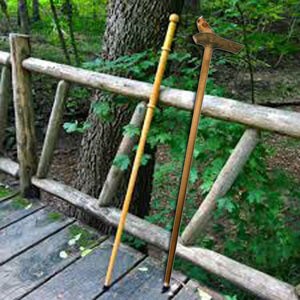 walking stick