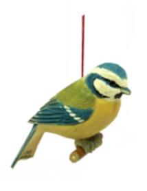 wood Blue Tit