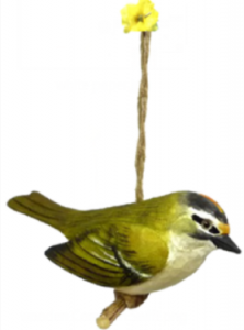 wood Common Firecrest