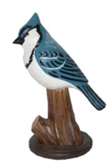 wood blue jay