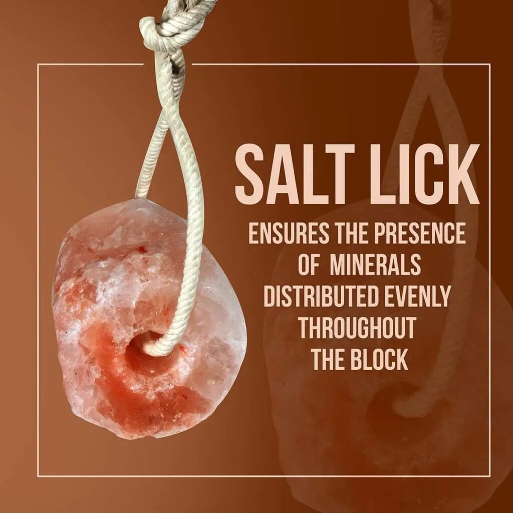 salt licks for deer