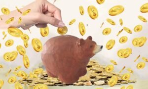 wooden piggy bank for gifts